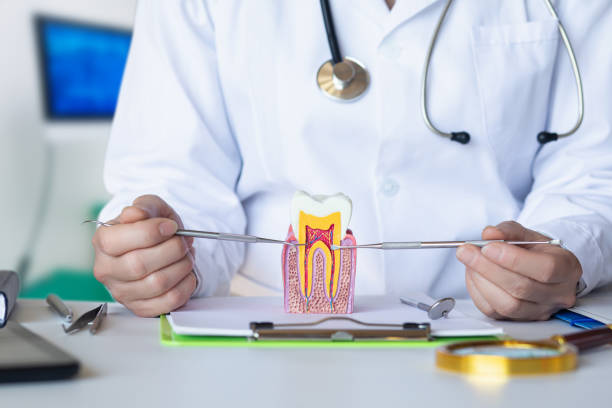 Best Emergency Treatment for Oral Infections in Terra Alta, WV